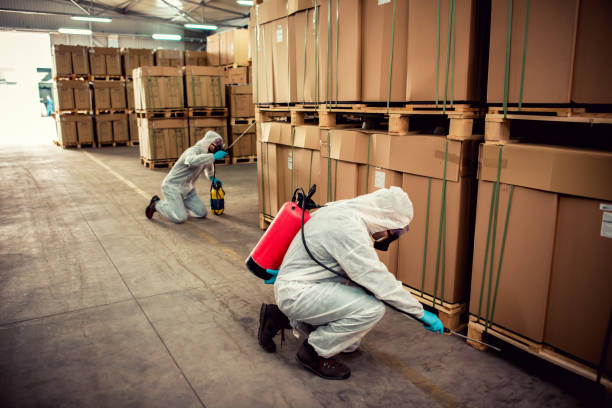 Best Termite Control Services  in Hillsborough, CA