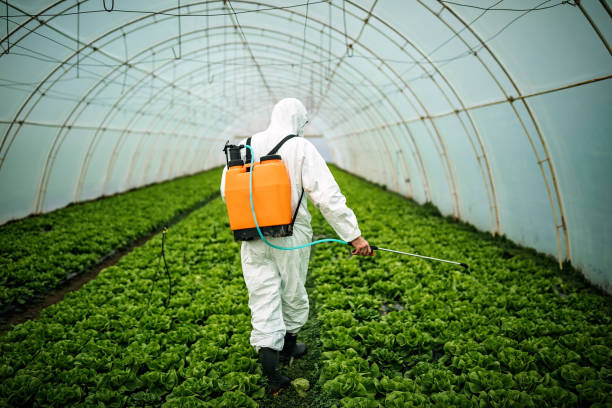 Professional Pest Control in Hillsborough, CA