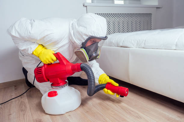 Best Flea Control Services  in Hillsborough, CA
