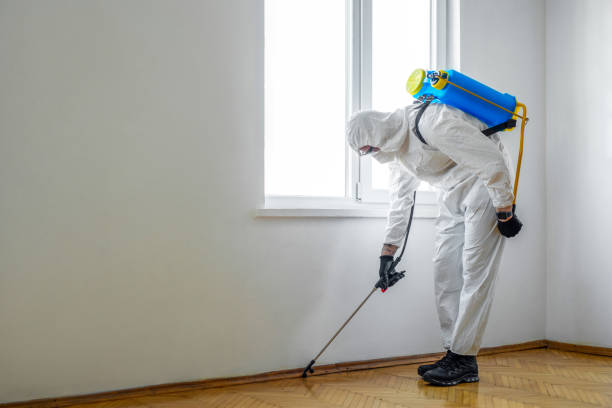 Best Affordable Pest Control Services  in Hillsborough, CA